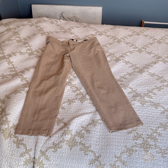 Banana Republic Tan Ankle Length Trousers - Picture 1 of 7